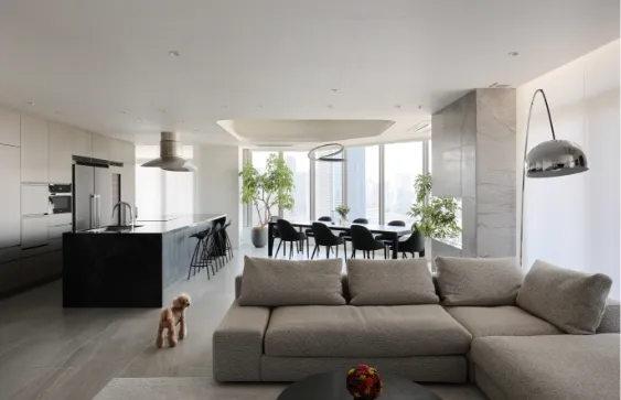 Modern Living and Dining renovation project