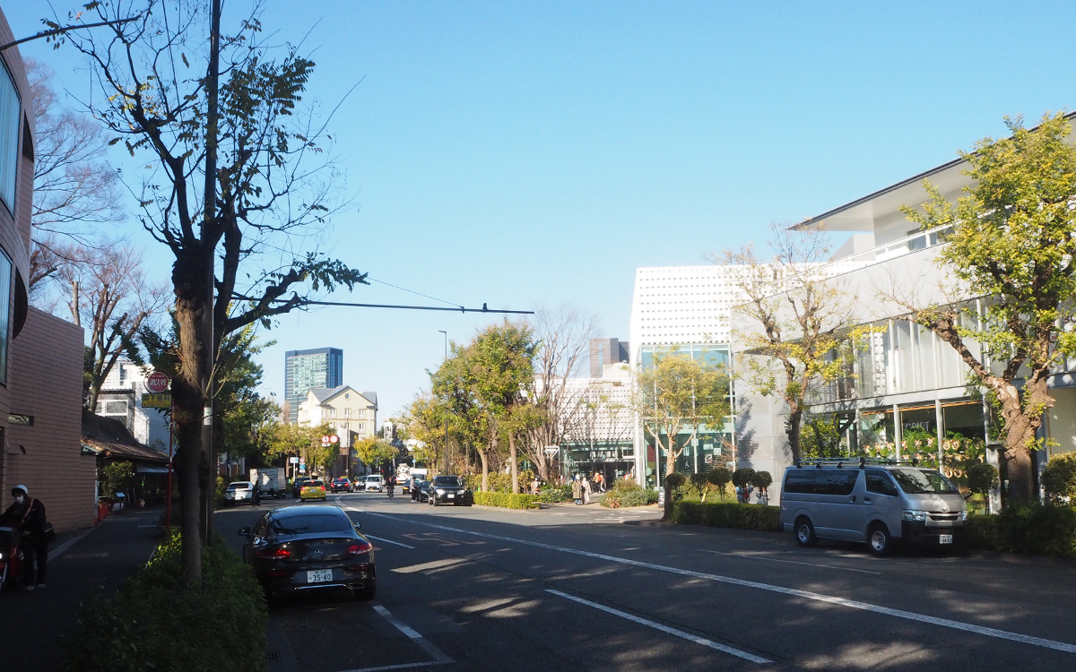 東京・目黒区の高級住宅街〈青葉台〉。トレンドと格式が共存する瀟洒な街