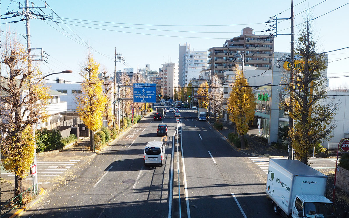 東京の高級住宅街〈自由が丘〉。静寂とにぎわいのコントラストが心地よい街