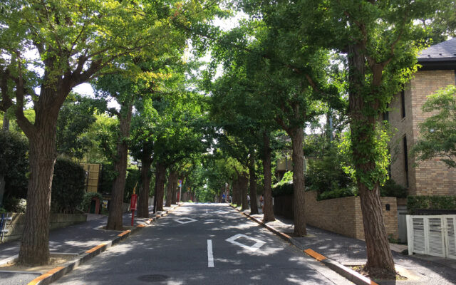 東京・大田区の高級住宅街〈田園調布〉。別荘地のようにさわやかな街
