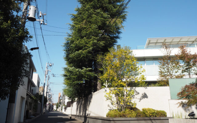 〈南麻布〉の暮らしやすさ。港区の高級住宅街ならではのインターナショナルな空気感