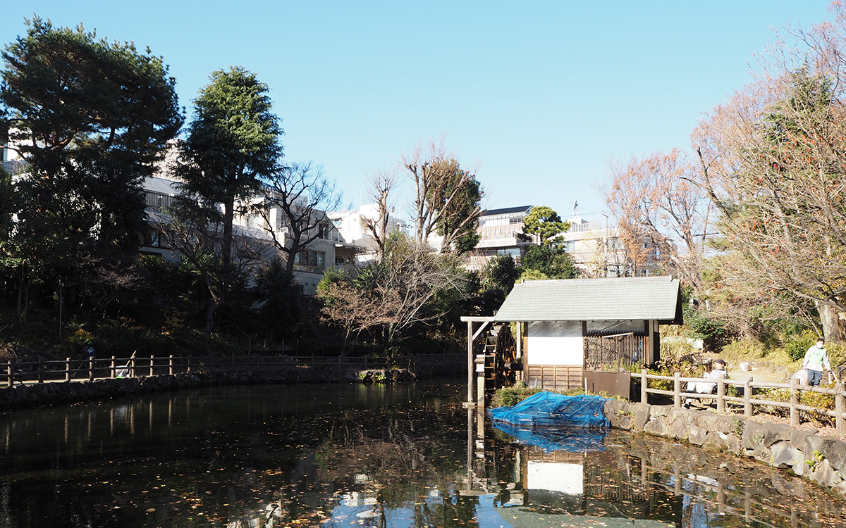 東京・渋谷区の高級住宅街〈松濤・神山町〉。静寂に包まれた美しき豪邸街
