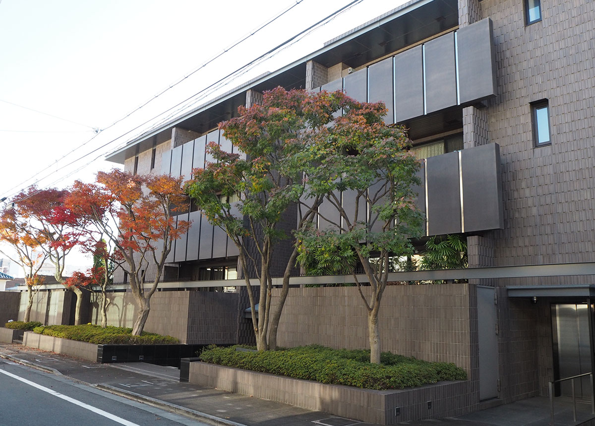 品川区の高級住宅街〈池田山〉。気品あふれる美しい街