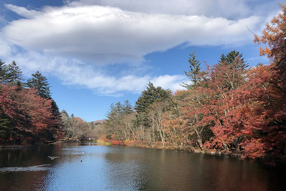 軽井沢で別荘リフォーム！おすすめプラン&気をつけたいこと