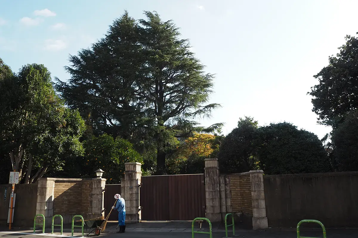 港区の高級住宅街〈白金台・白金〉