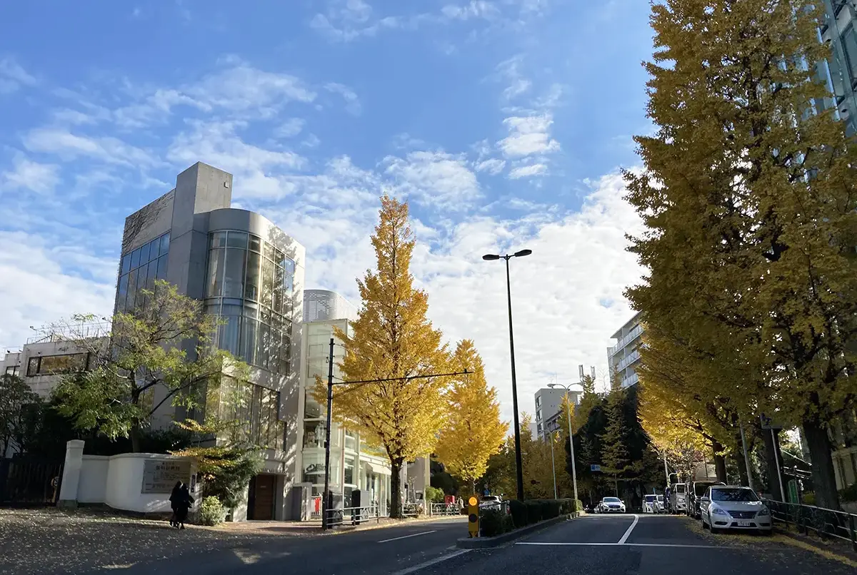 港区の高級住宅街〈白金台・白金〉