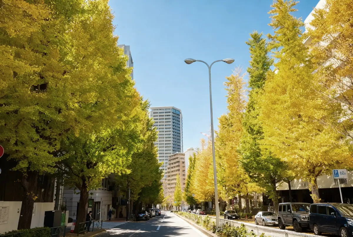 港区の高級住宅街〈白金台・白金〉