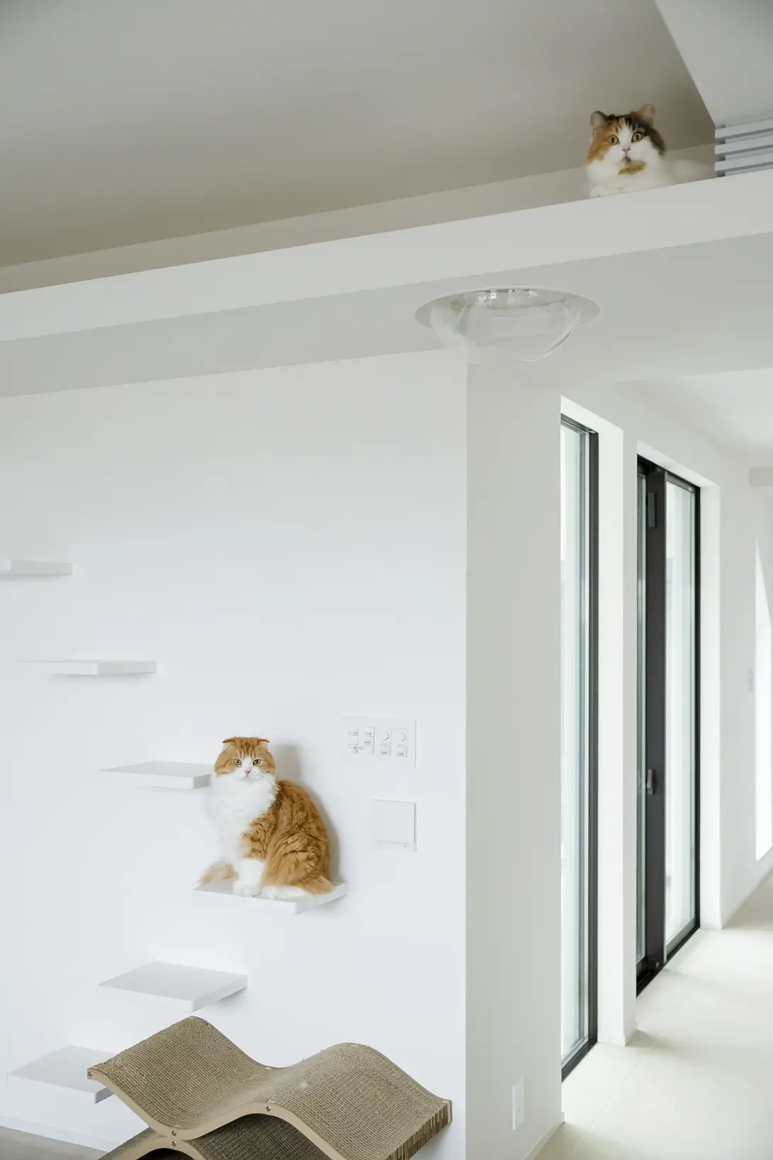 木造戸建てリフォーム事例_豪邸#23140