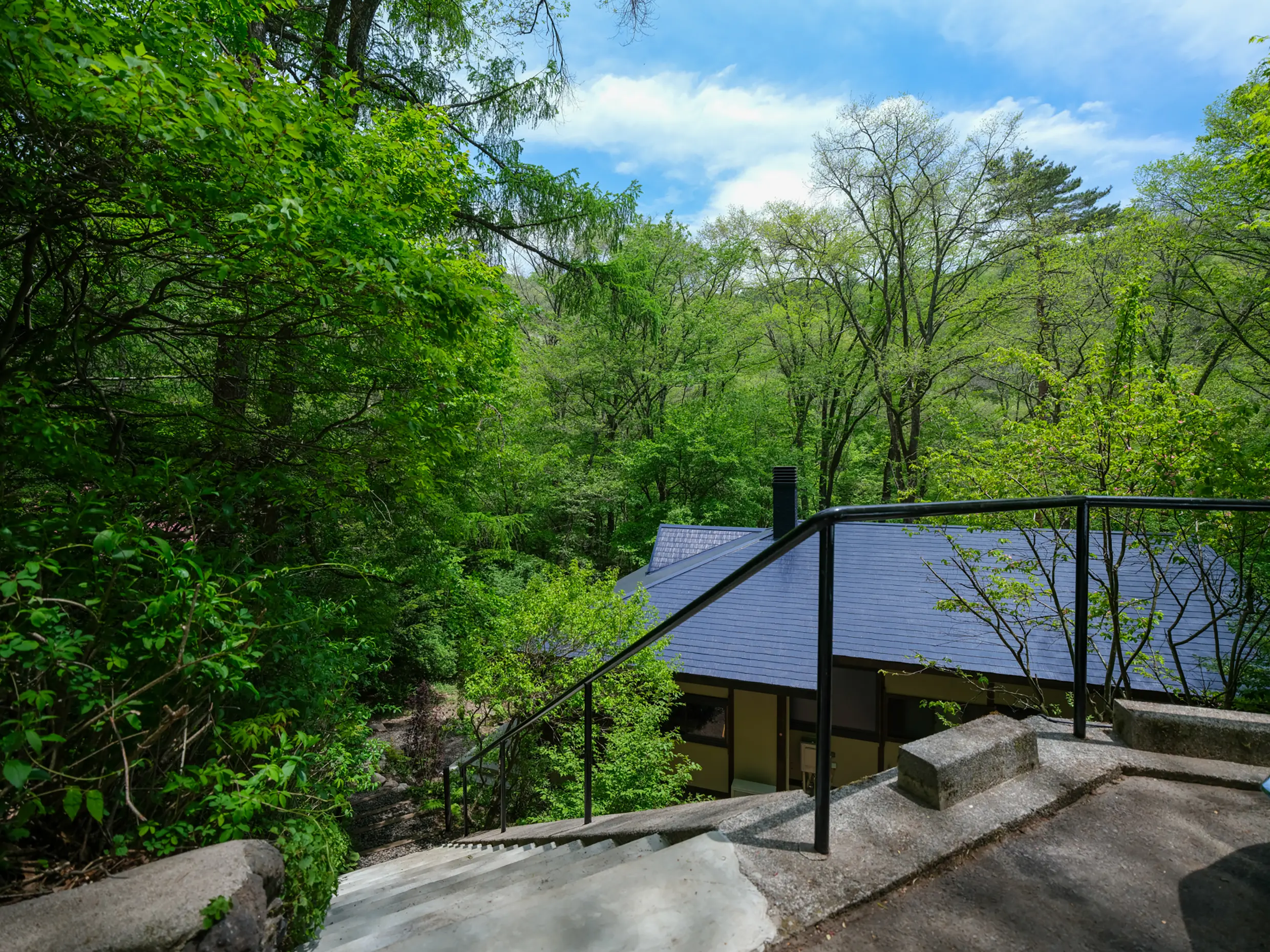 Concrete outdoor stairs with a black railing lead to a house, flanked by dense green trees and shrubs under a blue sky.